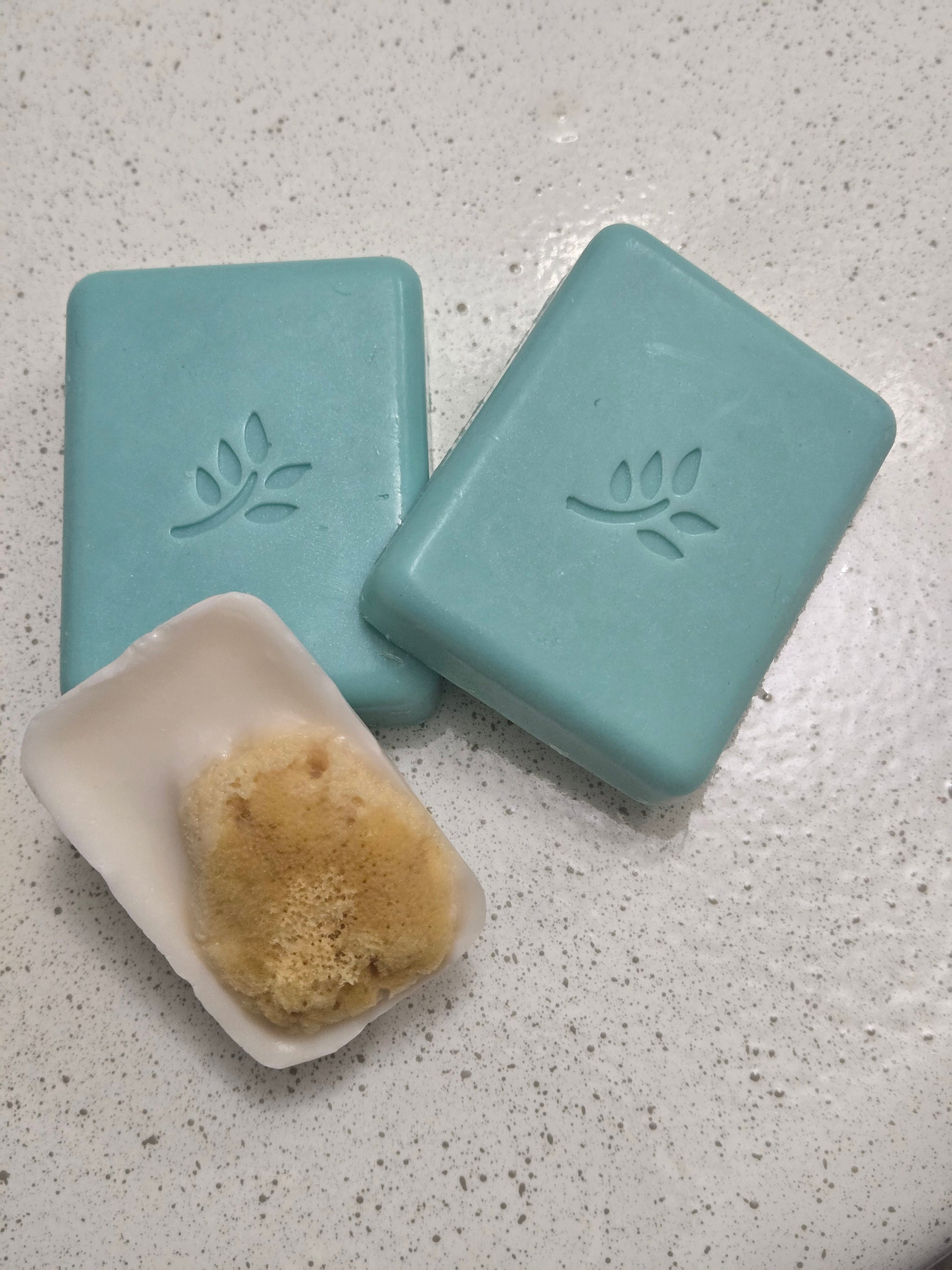 Zaya Soaps Eucalyptus Refresh Set Handmade Eucalyptus Soap Bundles