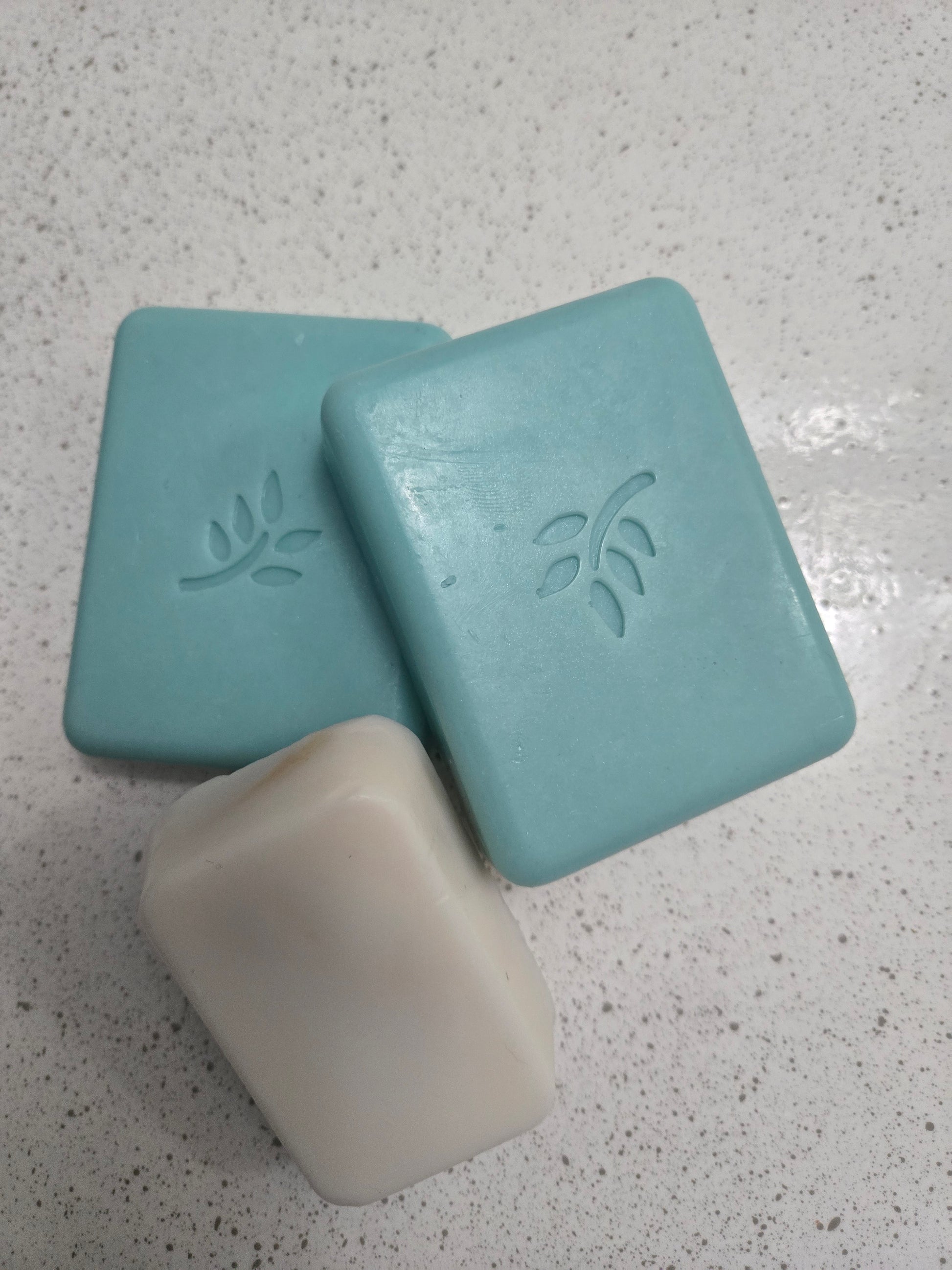 Zaya Soaps Eucalyptus Cotton Soap & Sea Salt Sponge