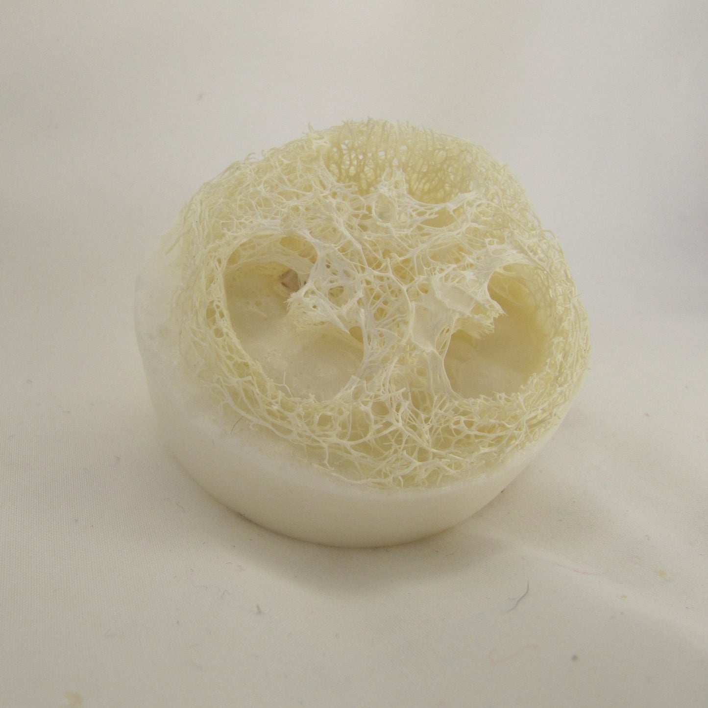 Loofah Soap