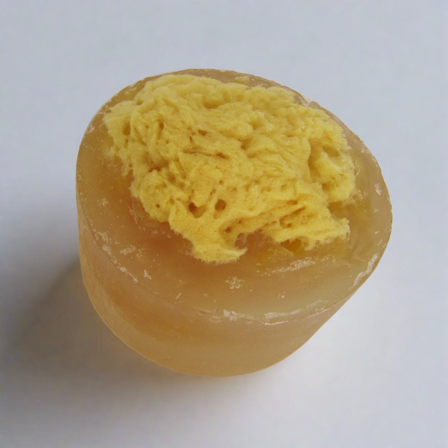 Sea Salt Sponge for Men (Wool)